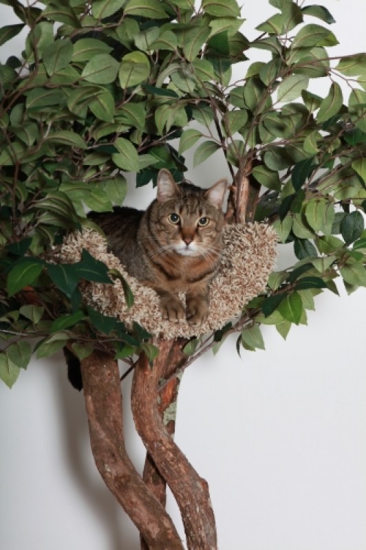 Deluxe seedling with4efdee8d106b3.jpg